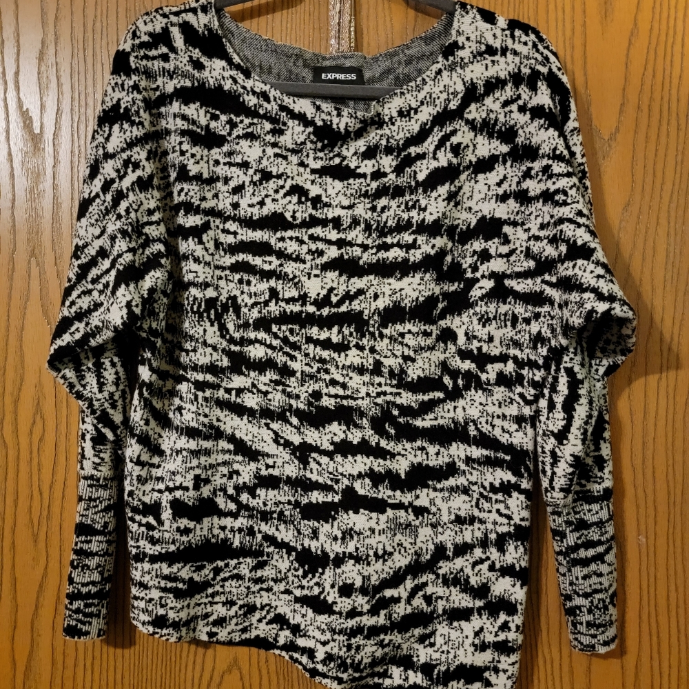 Express long sleeve sweater